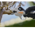 Акумуляторний секатор STIHL ASA 20 (Без АКБ та З/П)