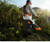 Мотокоса Stihl FS 491 С-ЕM