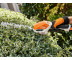 Ручні акумуляторні ножиці Stihl HSА 26 SET (без акб та з/п)