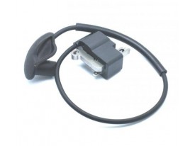 21. Модуль запалювання FS 120/FS 250