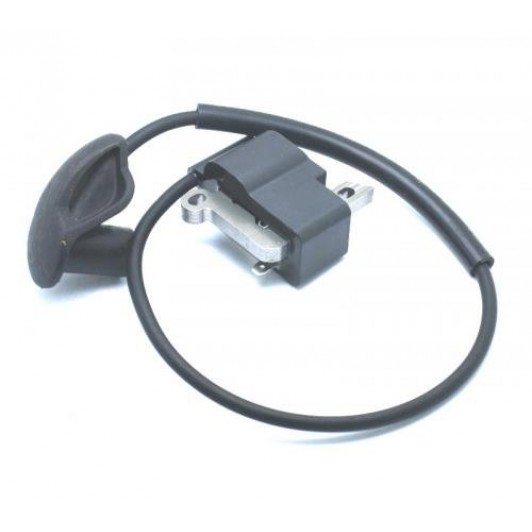 Модуль запалювання FS 120 / FS 250